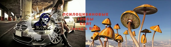 стафф Алексин