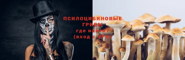 стафф Алексин